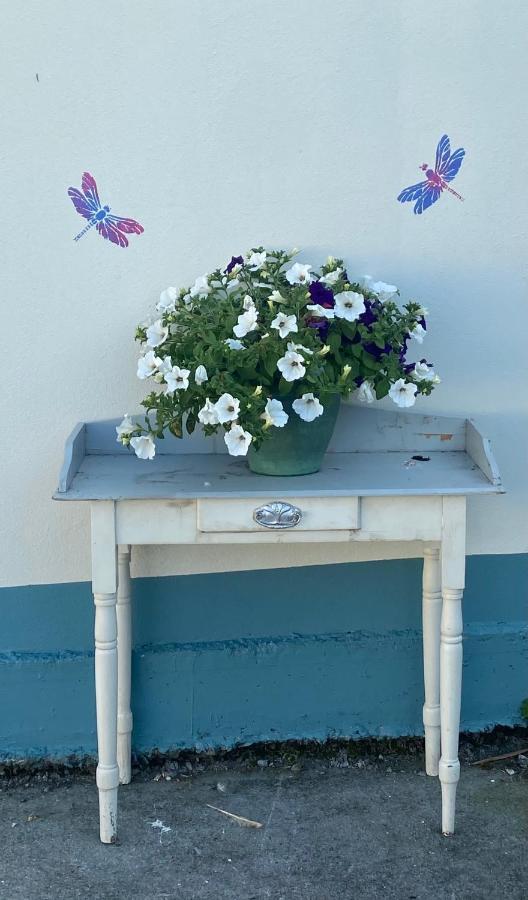 Farm Stay Property Pets And Families Welcome Rossnowlagh Exterior photo