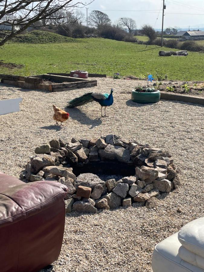 Farm Stay Property Pets And Families Welcome Rossnowlagh Exterior photo